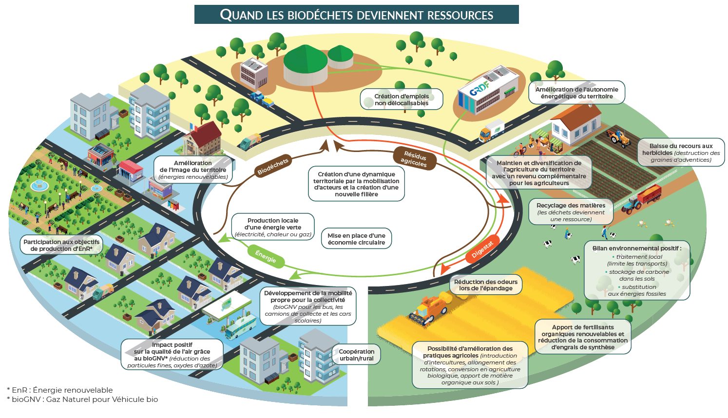 Quand les biodéchets deviennent ressources — Cycle de valorisation des biodéchets
